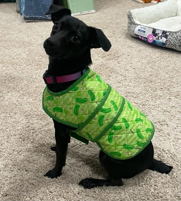 Dandy Doo Jacket Pattern for Small Dogs