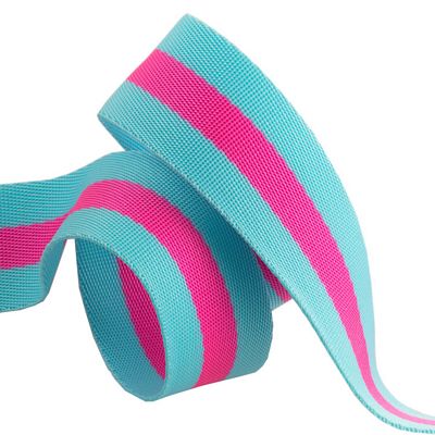 Aqua and Hot Pink 1.5 in-Tula Pink Webbing