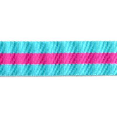 Aqua and Hot Pink 1.5 in-Tula Pink Webbing